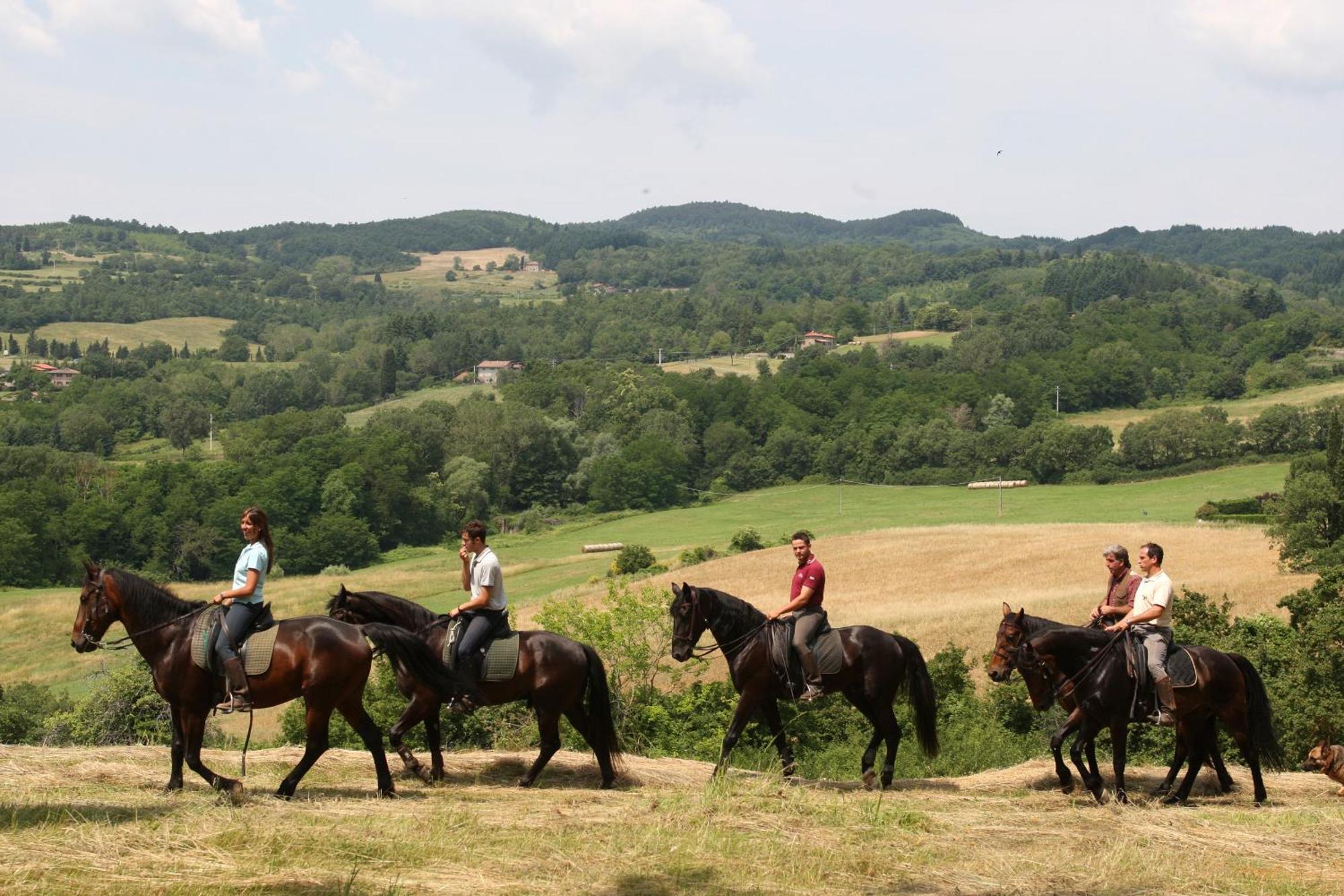 Agriturismo La Forra Cavriglia Extérieur photo