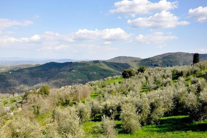Agriturismo La Forra Cavriglia Chambre photo