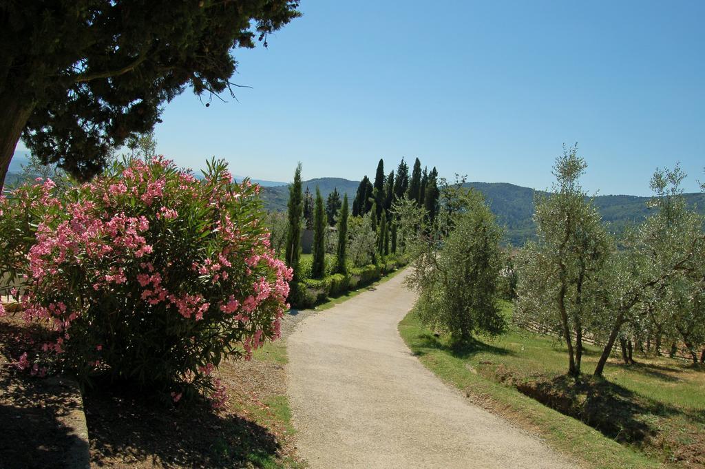 Agriturismo La Forra Cavriglia Extérieur photo